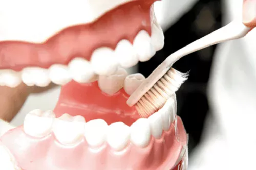 Sử dụng bàn chải lông mềm để vệ sinh hàm giả tháo lắp